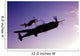 P-38 Lightning and P-51d Wall Decal Design 4