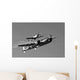 P-38 Lightning and P-51d Wall Decal Design 2