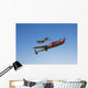P-38 Lightning and P-51d Wall Decal Design 1