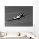 P-51d Mustang Flight Wall Decal Design 2