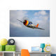 Republic P-47d Thunderbolt Flight Wall Decal Design 2