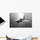 Grumman F8f Bearcat Flight Wall Decal Design 3
