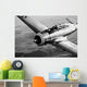 Republic At-12 Guardsman Aircraft Wall Decal Design 2