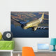 Douglas C-53 Skytrooper Flight Wall Decal Design 2