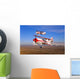 Two Pitts Model 12 Wall Decal Design 2
