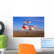 Two Pitts Model 12 Wall Decal Design 2