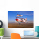 Two Pitts Model 12 Wall Decal Design 2