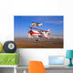 Two Pitts Model 12 Wall Decal Design 2