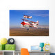 Two Pitts Model 12 Wall Decal Design 2