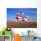 Two Pitts Model 12 Wall Decal Design 2