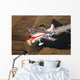 Pitts Model 12 Aircraft Wall Decal