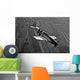 P-51c Mustang Flight Wall Decal