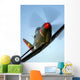 Bell P-63 Kingcobra Flight Wall Decal Design 4