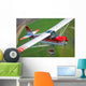 Champion Aircraft Citabria Flight Wall Decal