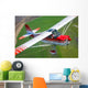 Champion Aircraft Citabria Flight Wall Decal