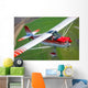 Champion Aircraft Citabria Flight Wall Decal
