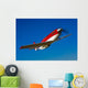 Strega Highly Modified P-51d Wall Decal Design 2