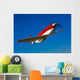 Strega Highly Modified P-51d Wall Decal Design 2