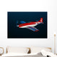 Strega Highly Modified P-51d Wall Decal Design 2