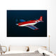 Strega Highly Modified P-51d Wall Decal Design 2