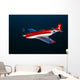 Strega Highly Modified P-51d Wall Decal Design 2