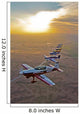 Extra 300 Aerobatic Aircraft Wall Decal Design 8