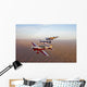 Extra 300 Aerobatic Aircraft Wall Decal Design 7