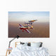 Extra 300 Aerobatic Aircraft Wall Decal Design 7