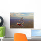 Extra 300 Aerobatic Aircraft Wall Decal Design 5