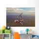 Extra 300 Aerobatic Aircraft Wall Decal Design 5