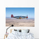 Tp-51c Mustang over Central Wall Decal Design 4