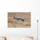 Tp-51c Mustang over Central Wall Decal Design 1