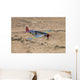 Tp-51c Mustang over Central Wall Decal Design 1
