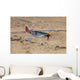 Tp-51c Mustang over Central Wall Decal Design 1