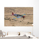 Tp-51c Mustang over Central Wall Decal Design 1