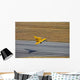 Northrop N-9m Flying Wing Wall Decal