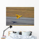Northrop N-9m Flying Wing Wall Decal