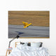 Northrop N-9m Flying Wing Wall Decal