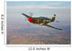P-51b Mustang Flight over Wall Decal Design 3