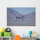Us Air Force F-15c Wall Decal