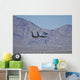 Us Air Force F-15c Wall Decal