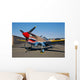 Nose Art Curtiss P-40e Wall Decal Design 7