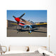 Nose Art Curtiss P-40e Wall Decal Design 7