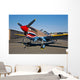 Nose Art Curtiss P-40e Wall Decal Design 7