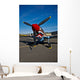 Nose Art Curtiss P-40e Wall Decal Design 5