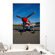 Nose Art Curtiss P-40e Wall Decal Design 5