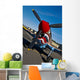 Nose Art Curtiss P-40e Wall Decal Design 4