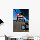 Nose Art Curtiss P-40e Wall Decal Design 3