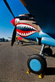Nose Art Curtiss P-40e Wall Decal Design 3