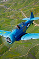 North American T-6 Texan Wall Decal